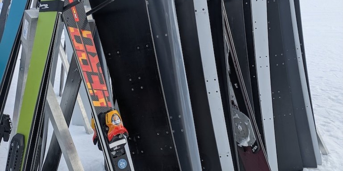 PXL_20250216_082856316