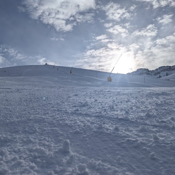 PXL_20250216_084817176