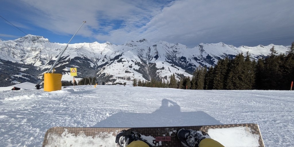 PXL_20250216_090801950