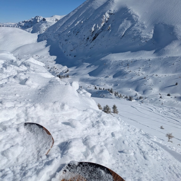 WhatsApp Image 2026-02-15 at 20.32.01_10